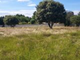 Terrain à bâtir à Jonquerettes (84450) 2135704-695annonce420250417WMU6i.jpeg Maisons France Confort