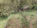 Terrain à bâtir à Bagnols-en-Forêt (83600) 2135671-5163annonce3202504178UVBJ.jpeg Maisons France Confort
