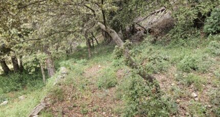 Bagnols-en-Forêt Terrain à bâtir - 2135671-5163annonce3202504178UVBJ.jpeg Maisons France Confort