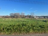 Terrain à bâtir à Casteljaloux (47700) 2135451-9795annonce1202504170THkv.jpeg Maisons France Confort
