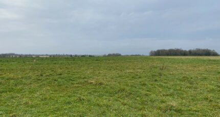 Taillebourg Terrain à bâtir - 2135888-11194annonce120250418vZTJZ.jpeg Maisons France Confort