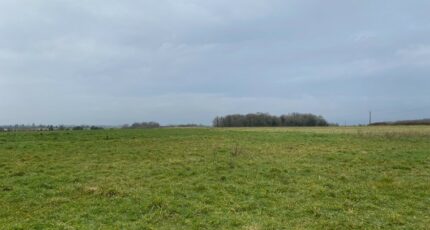 Taillebourg Terrain à bâtir - 2135888-11194annonce220250418N1skz.jpeg Maisons France Confort