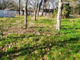 Terrain à bâtir à Noaillan (33730) 2136121-11141annonce120250418TIifP.jpeg Maisons France Confort