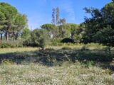 Maison à construire à Puget-sur-Argens (83480) 2136068-5163annonce220250220xNswJ.jpeg Maisons France Confort