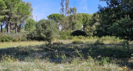 Puget-sur-Argens Maison neuve - 2136068-5163annonce220250220xNswJ.jpeg Maisons France Confort