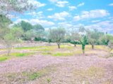 Maison à construire à Bagnols-en-Forêt (83600) 2136392-5163annonce120250220TfaDo.jpeg Maisons France Confort
