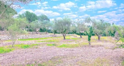 Bagnols-en-Forêt Maison neuve - 2136392-5163annonce120250220TfaDo.jpeg Maisons France Confort