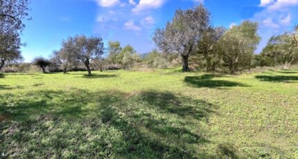 Bagnols-en-Forêt Maison neuve - 2136392-5163annonce420250220kmkoT.jpeg Maisons France Confort