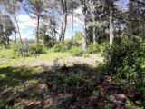 Terrain à bâtir à Trans-en-Provence (83720) 2136381-10295annonce120250418TtX7T.jpeg Maisons France Confort