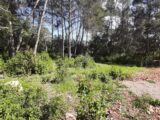 Terrain à bâtir à Trans-en-Provence (83720) 2136381-10295annonce220250418kl2mn.jpeg Maisons France Confort