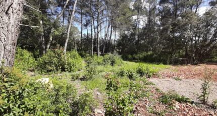 Trans-en-Provence Terrain à bâtir - 2136381-10295annonce220250418kl2mn.jpeg Maisons France Confort