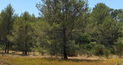 Brignoles Terrain à bâtir - 2136438-9599annonce120250418VTks3.jpeg Maisons France Confort