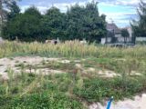 Maison à construire à Pontarmé (60520) 2136521-4496annonce120240821Fcc7I.jpeg Maisons France Confort