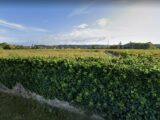 Terrain à bâtir à Preignac (33210) 2136705-3601annonce120250419nzTpW.jpeg Maisons France Confort