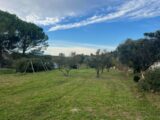 Terrain à bâtir à Mas-Blanc-des-Alpilles (13103) 2136940-11073annonce120250420cTM9T.jpeg Maisons France Confort