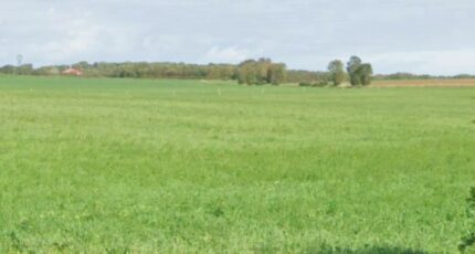 Ballon Terrain à bâtir - 2137245-9644annonce220250421nSLoh.jpeg Maisons France Confort