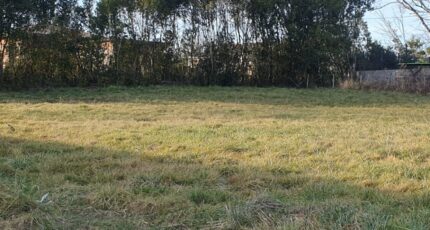 Salignac Maison neuve - 2127874-11015annonce120250408TdrXK.jpeg Maisons France Confort