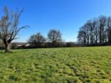 Maison à construire à Gournay-en-Bray (76220) 2080058-11168annonce120250214JbfNl.jpeg Maisons France Confort