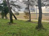 Terrain à bâtir à Escassefort (47350) 2137393-9795annonce120250422xKSEo.jpeg Maisons France Confort