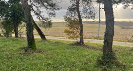 Escassefort Terrain à bâtir - 2137393-9795annonce120250422xKSEo.jpeg Maisons France Confort
