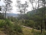 Terrain à bâtir à Vidauban (83550) 2137516-10295annonce220250422wsTLO.jpeg Maisons France Confort