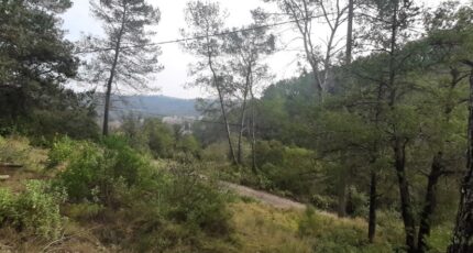Vidauban Terrain à bâtir - 2137516-10295annonce220250422wsTLO.jpeg Maisons France Confort