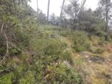 Terrain à bâtir à Vidauban (83550) 2137516-10295annonce120250422kEvJZ.jpeg Maisons France Confort