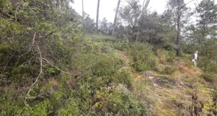 Vidauban Terrain à bâtir - 2137516-10295annonce120250422kEvJZ.jpeg Maisons France Confort