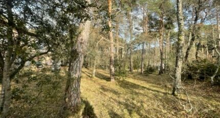Plan-d'Aups-Sainte-Baume Terrain à bâtir - 2137572-11041annonce520250422tNL6g.jpeg Maisons France Confort