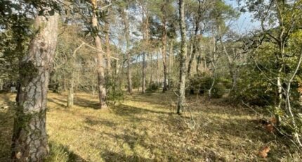 Plan-d'Aups-Sainte-Baume Maison neuve - 2137574-11041annonce420250422Ts1cq.jpeg Maisons France Confort