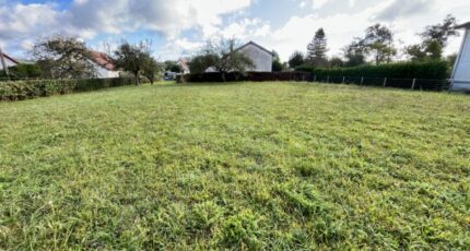 Saint-Paul-des-Landes Terrain à bâtir - 2051832-3828annonce12024091230CAf.jpeg Maisons France Confort