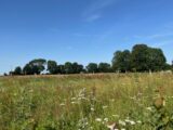Maison à construire à Vismes (80140) 2137801-5042annonce220250422h1SpU.jpeg Maisons France Confort