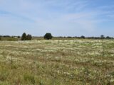 Maison à construire à Beautot (76890) 2051207-11159annonce120250115Am9E3.jpeg Maisons France Confort