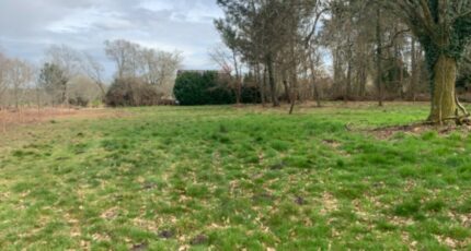 Pouydesseaux Maison neuve - 2108628-11236annonce120250317MKBOC.jpeg Maisons France Confort