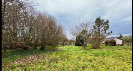 Lucbardez-et-Bargues Maison neuve - 2110068-11236annonce120250318fJVgP.jpeg Maisons France Confort