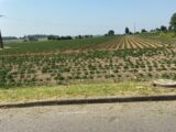 Maison à construire à Écurie (62223) 2138559-6159annonce220250423l2ybA.jpeg Maisons France Confort