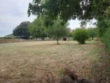 Maison à construire à Civrac-en-Médoc (33340) 2138638-11151annonce120250325S0zRr.jpeg Maisons France Confort