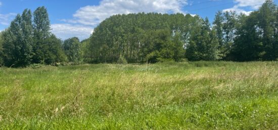 Terrain à bâtir à Targon, Nouvelle-Aquitaine
