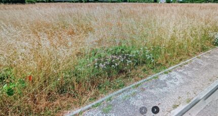 La Lande-de-Fronsac Terrain à bâtir - 2126877-11131annonce220250407KtuFV.jpeg Maisons France Confort