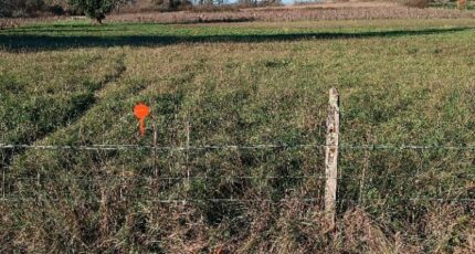 Peujard Terrain à bâtir - 2126886-11131annonce220250407OwwUZ.jpeg Maisons France Confort