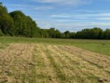 Terrain à bâtir à Saint-Germain-d’Esteuil (33340) 2139255-10624annonce120250424Tznem.jpeg Maisons France Confort