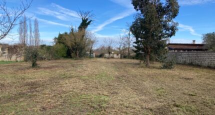 Saint-Vivien-de-Médoc Terrain à bâtir - 2133694-10624annonce220250415PaT3v.jpeg Maisons France Confort