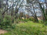 Terrain à bâtir à Rocbaron (83136) 2139462-11137annonce320250424bW7sd.jpeg Maisons France Confort
