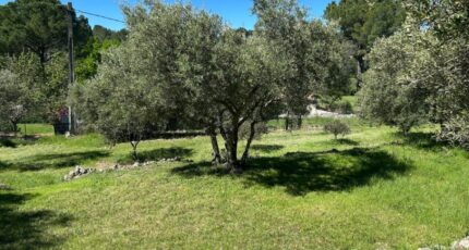 Lorgues Terrain à bâtir - 2139615-3951annonce120250424I8uSP.jpeg Maisons France Confort