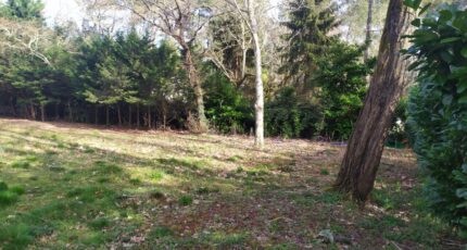 Saint-Selve Terrain à bâtir - 2139323-11141annonce120250424TexZh.jpeg Maisons France Confort