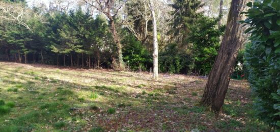 Terrain à bâtir à Saint-Selve, Nouvelle-Aquitaine