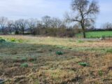 Maison à construire à Albi (81000) 2138622-11178annonce120250423KvqM9.jpeg Maisons France Confort
