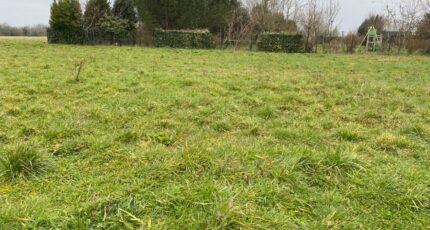 Taillebourg Terrain à bâtir - 2139964-11194annonce120250424q0v0E.jpeg Maisons France Confort