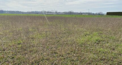 Archingeay Terrain à bâtir - 2139986-11194annonce220250424EIOsz.jpeg Maisons France Confort