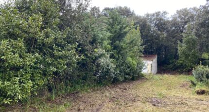 Saint-Georges-d'Oléron Maison neuve - 2140109-11194annonce320250424DOO1i.jpeg Maisons France Confort